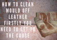 Featured image for how to care for leather furniture tips
