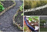 Featured image for diy edging ideas